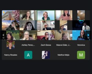 Image of group on Zoom for VYF's flu webinar